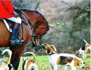 radnor hunt