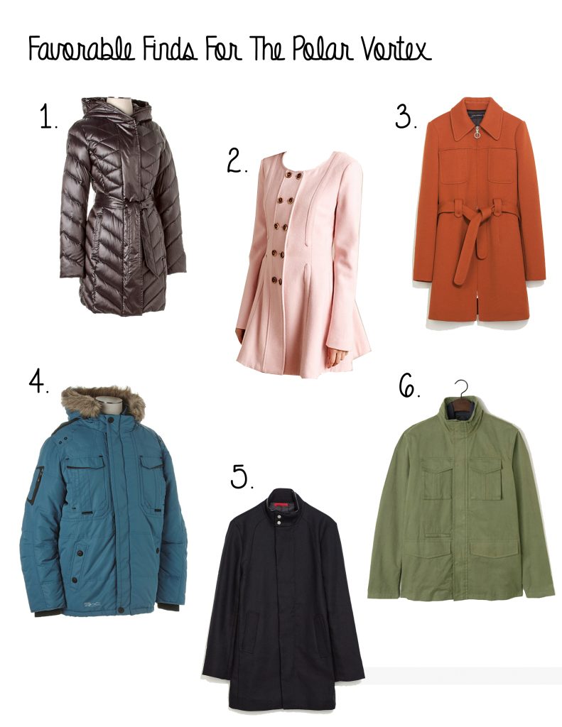 FavorableFindsForThePolarVortex