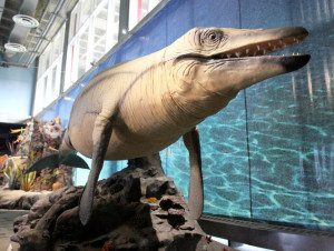 dinosaurs-of-the-deep