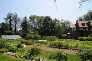 Photo by the Wyck Home Farm