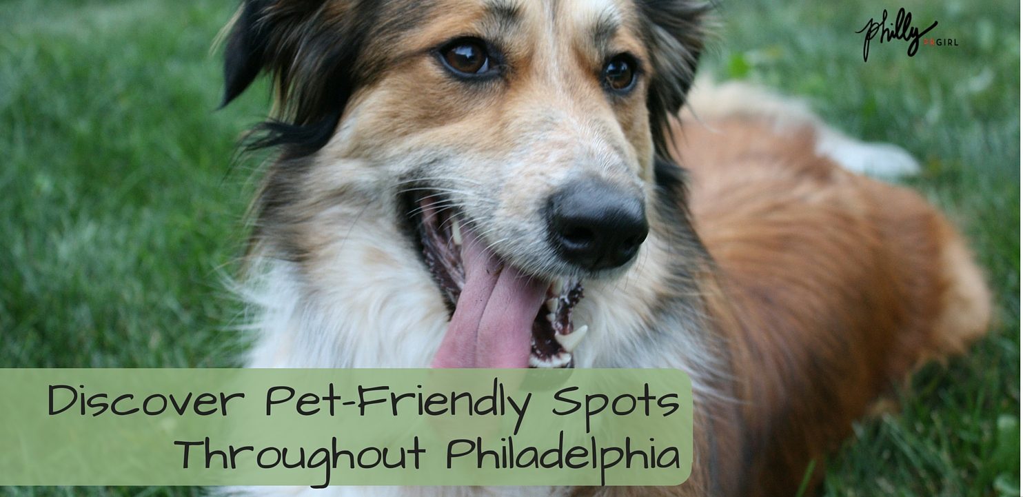 Discover Pet-Friendly Spots Throughout Philadelphia
