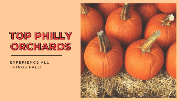 Experience All Things Fall At These Philly Area Farms