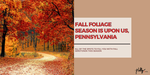 Fall Foliage Season is Here