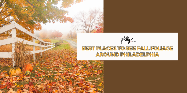 Best Places to see Fall Foliage Around Philadelphia